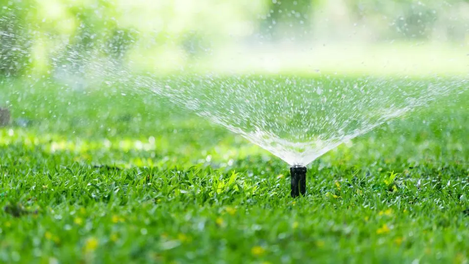 featured-sprinkler.jpeg